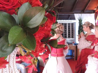 Festa do Moranguinho 2017 - Parte III