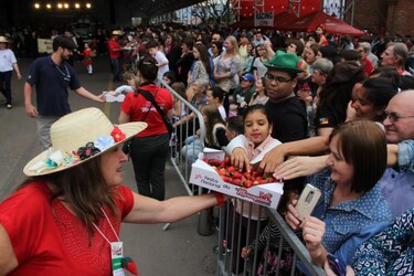 Festa do Moranguinho 2017 - Parte VII